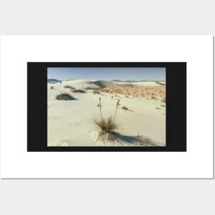 White Sand Landscape Posters and Art